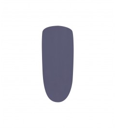 Gel de couleur Dreamy Blueberry